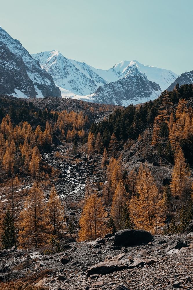 Photograph by Элина Ларченкова