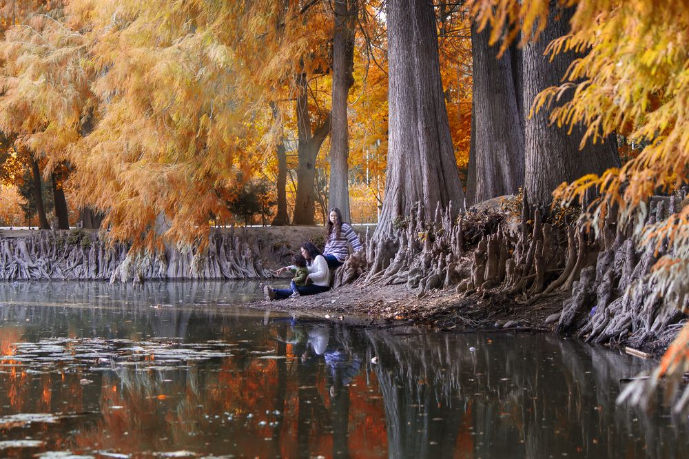 Photograph by Мария Фадеичева