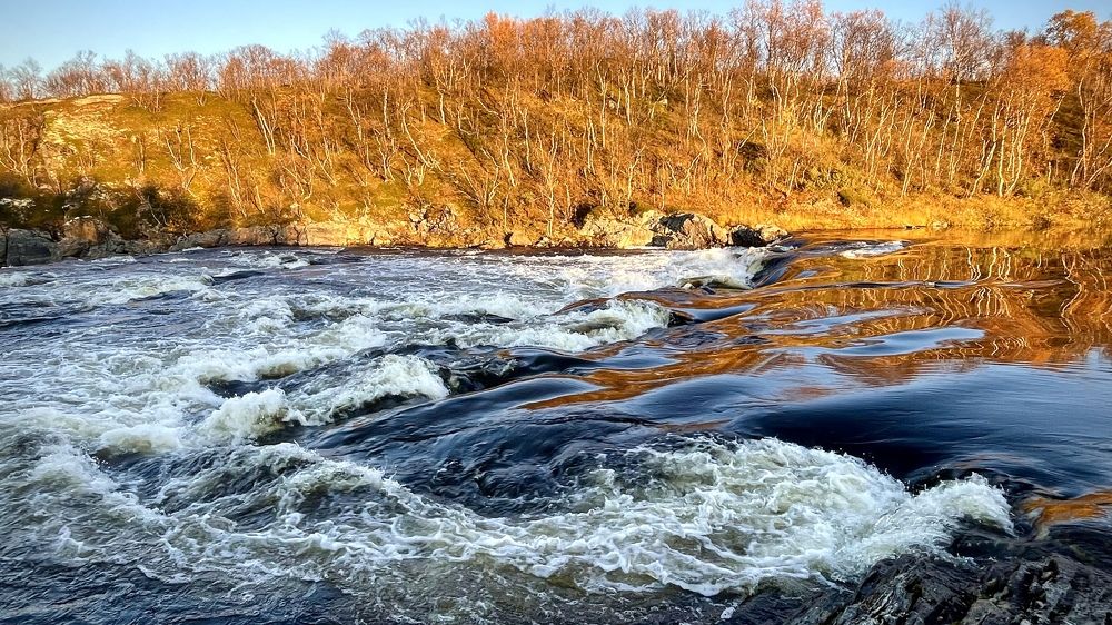 Фотография автора Юлия Шумейко