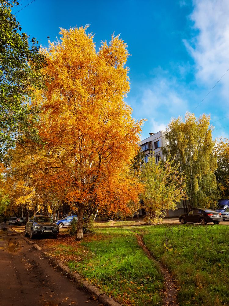 Фотография автора Войнов Дмитрий