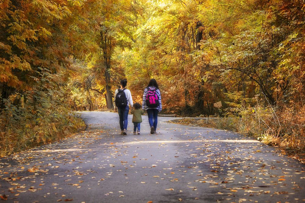 Photograph by Мария Фадеичева