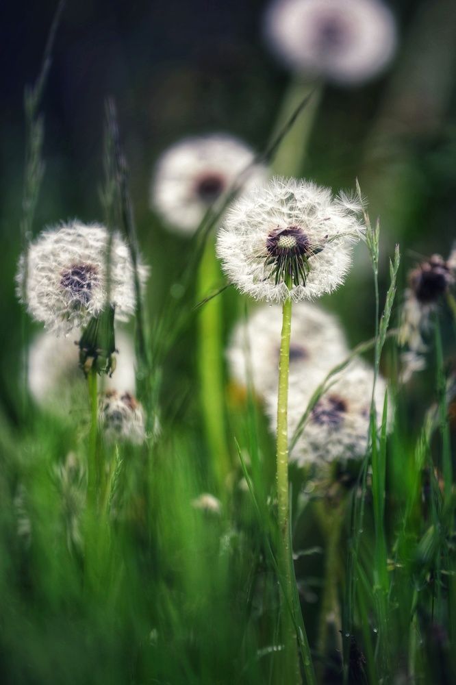 Photograph by Анна Корнейко