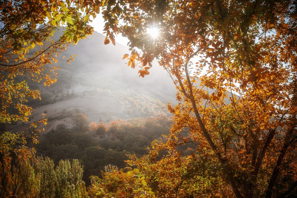 Photograph by Мария Фадеичева