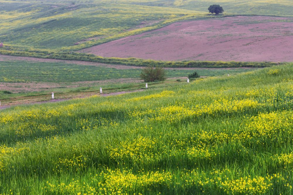 Photograph by Мария Фадеичева