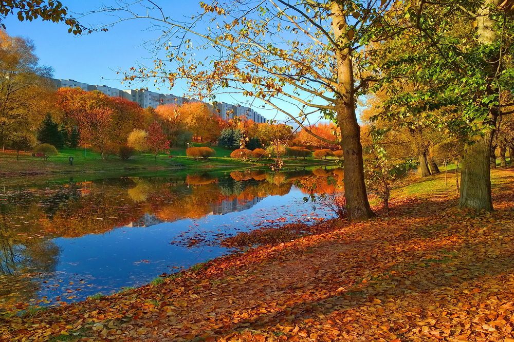 А в городе осень