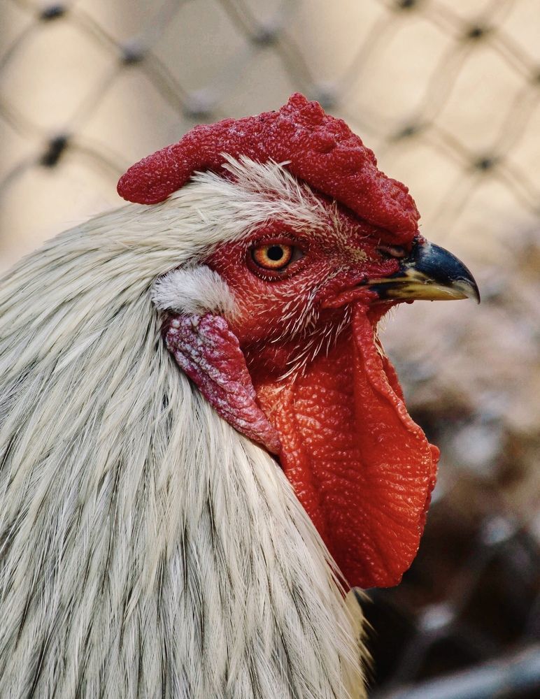 Фотография автора Galina Sa