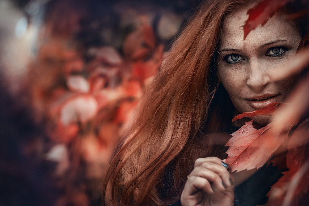 Фотография автора Alexandr Volkov