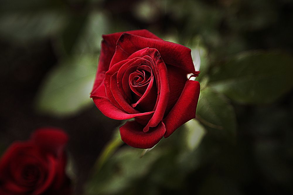 Photograph by Alina Zhuk