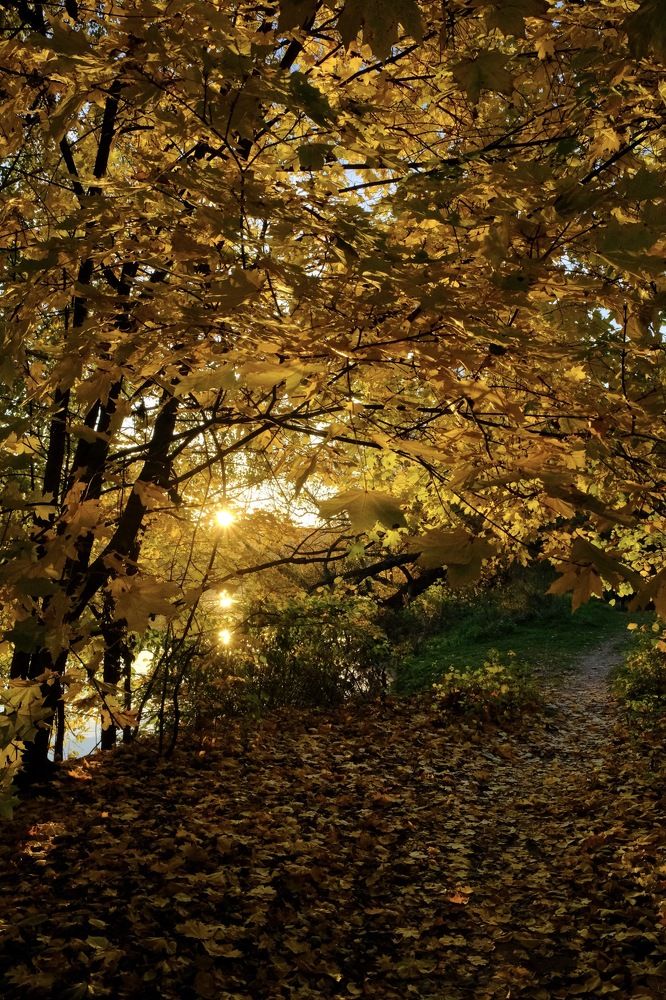 Photograph by Марина Душевина