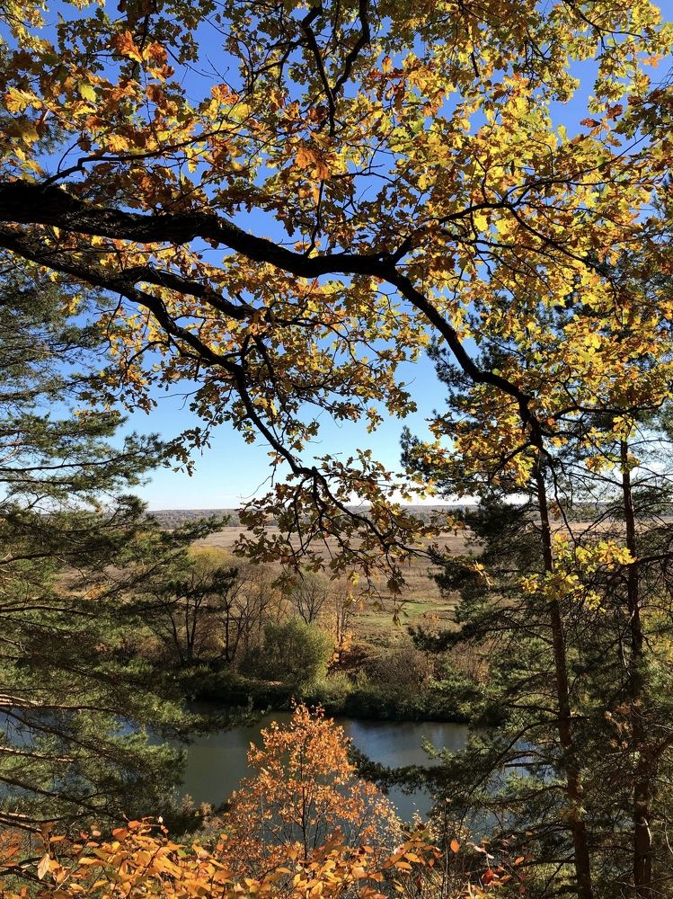 Photograph by Марина Душевина