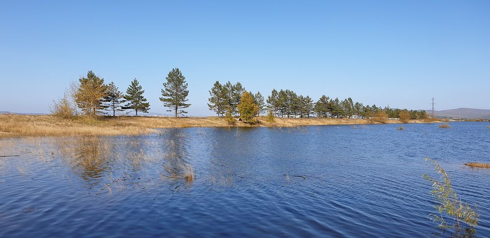 Фотография автора Александра Асаулко