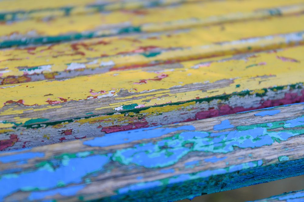 Фотография автора Александра Асаулко