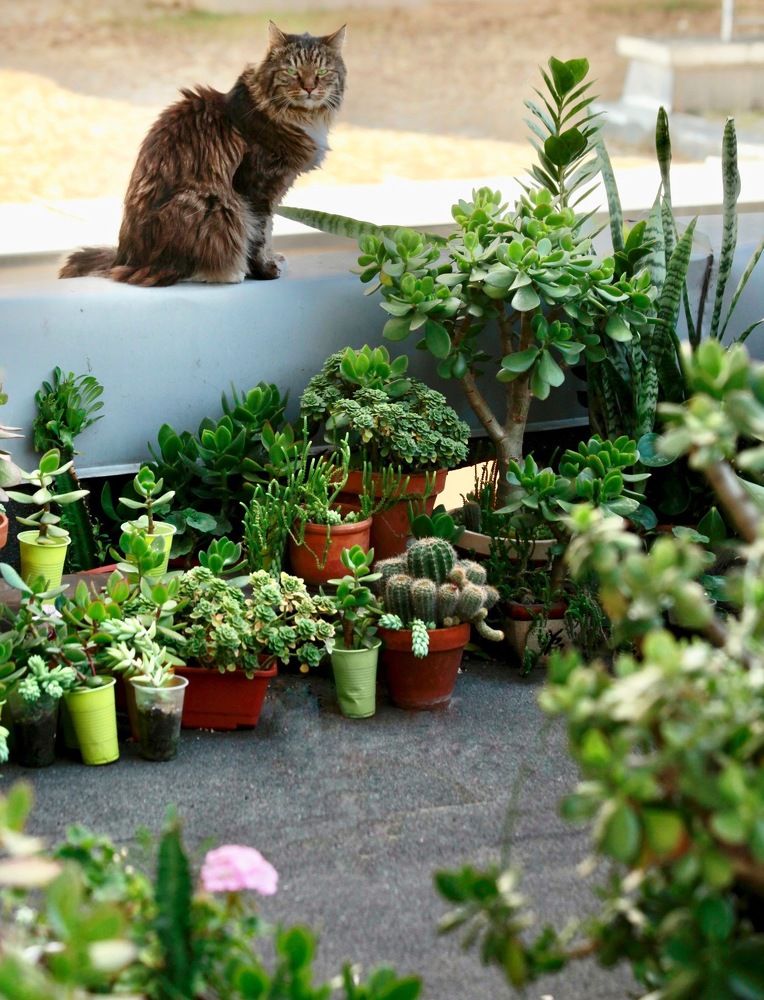 Фотография автора Galina Sa