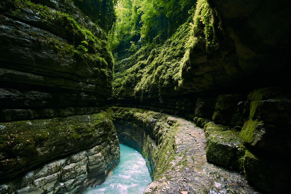Photograph by Светлана Ваврина