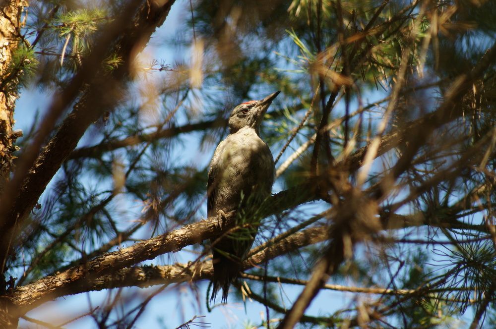 Photograph by Дарья Ринас