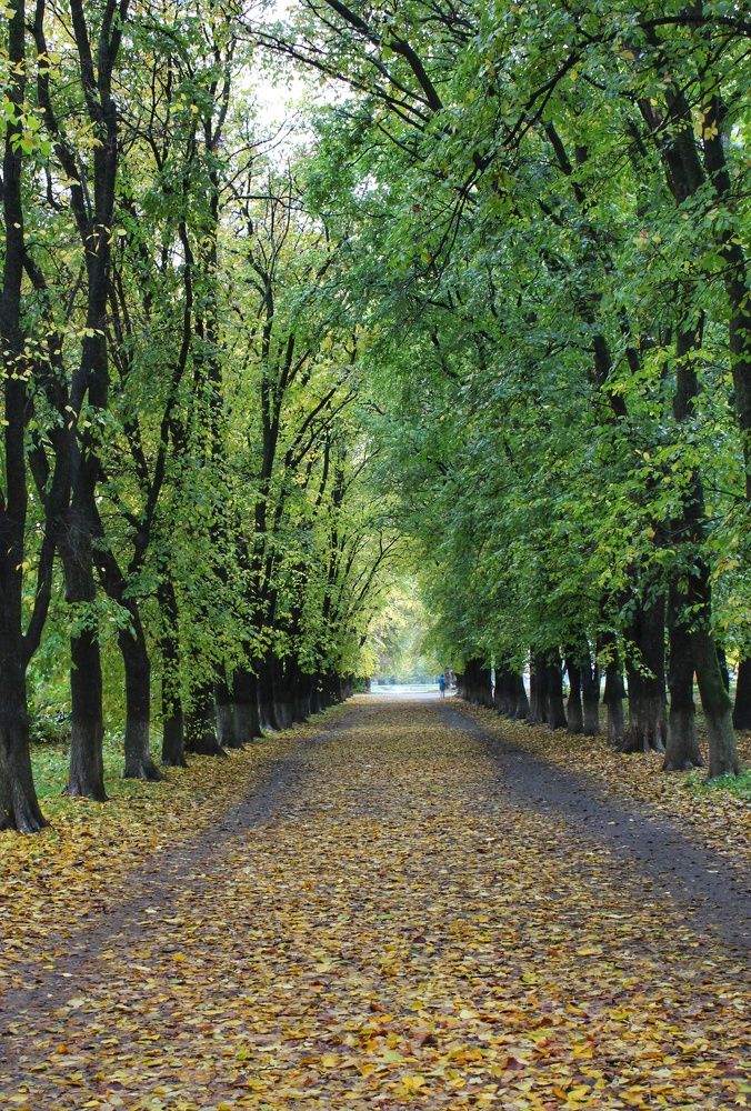 Photograph by Иван Крылов