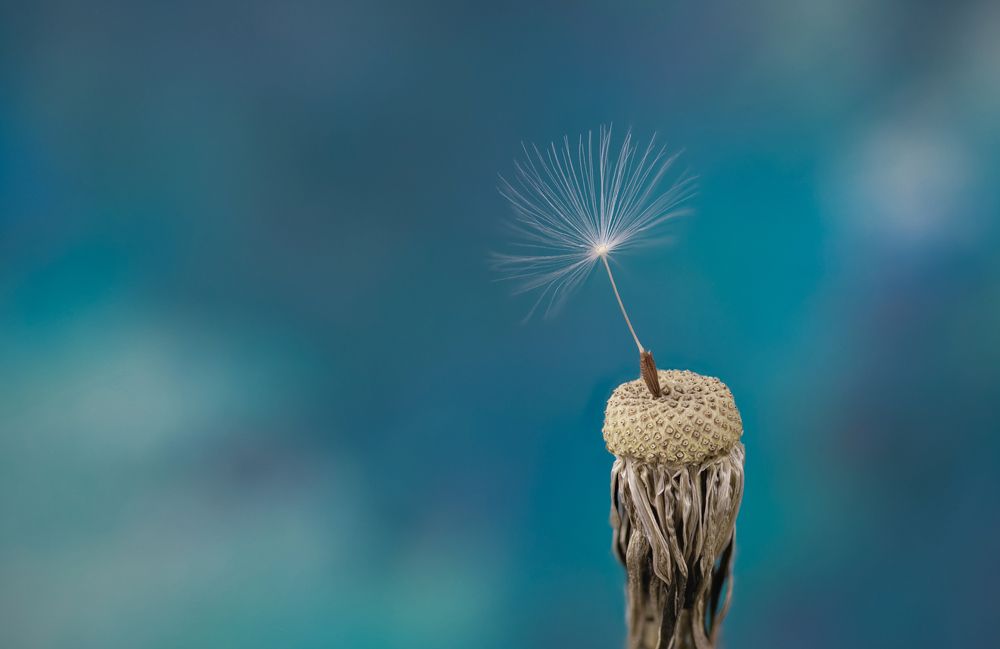 Photograph by Сергей Романченко