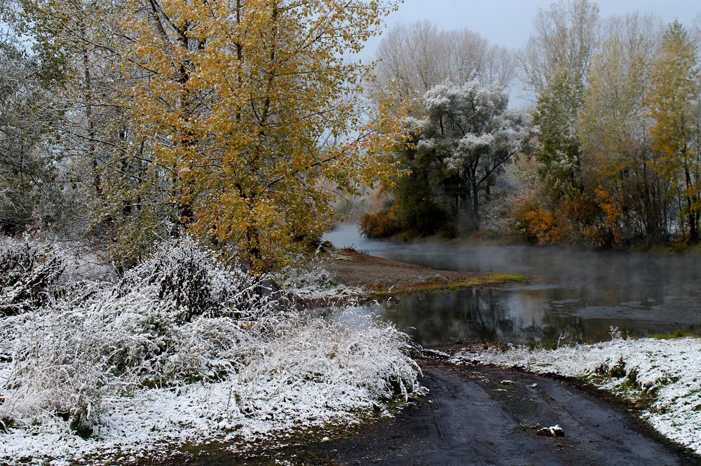 Первый снег