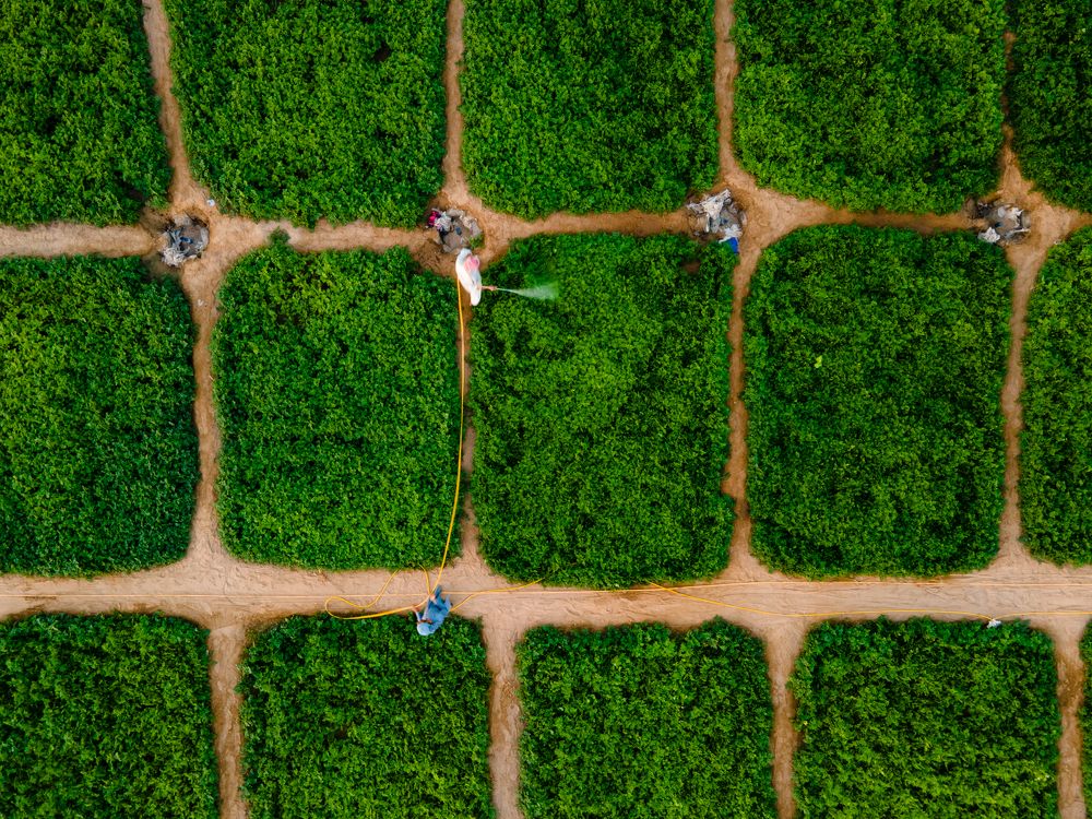 Photograph by Zubair Irshad