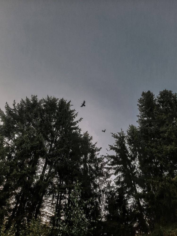 Photograph by Ольга