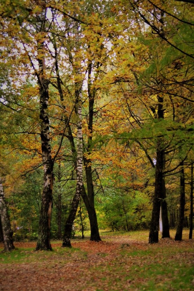 Photograph by Елена Заметалова