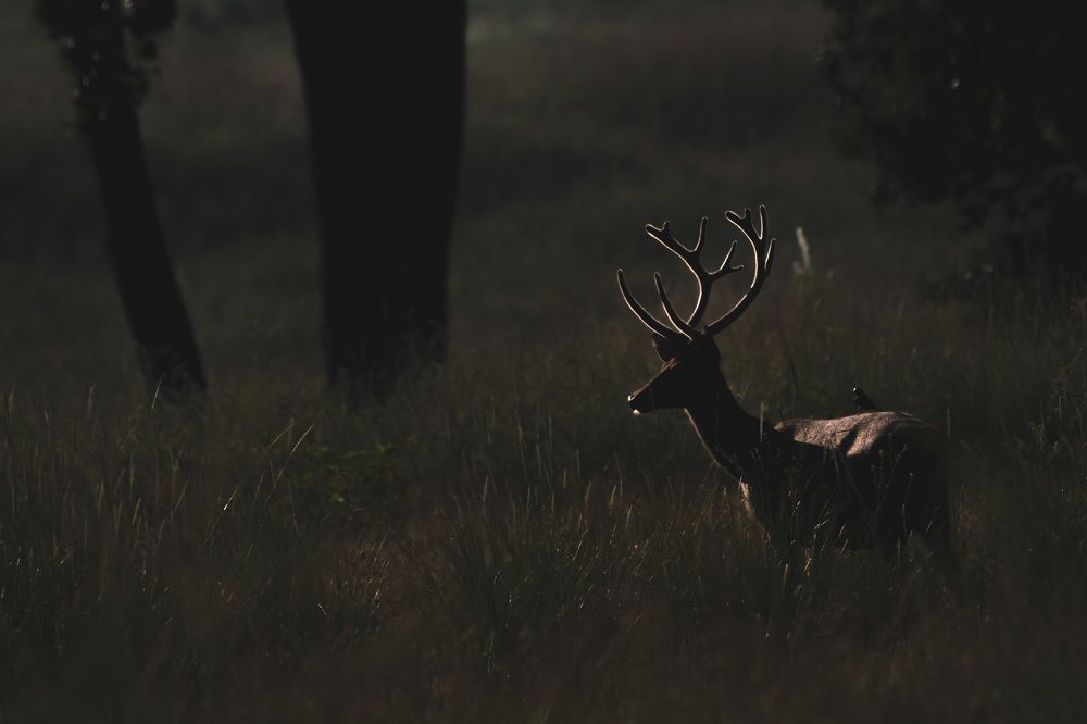 Photograph by Vinay Badhe