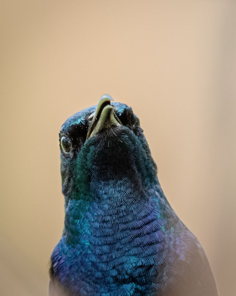 Photograph by Visveswar VK