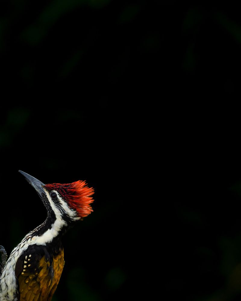 Photograph by Visveswar VK