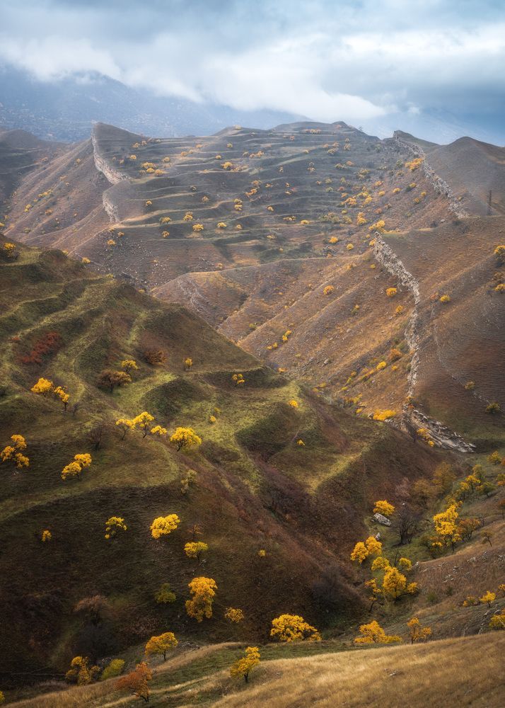 Photograph by Важенин Евгений