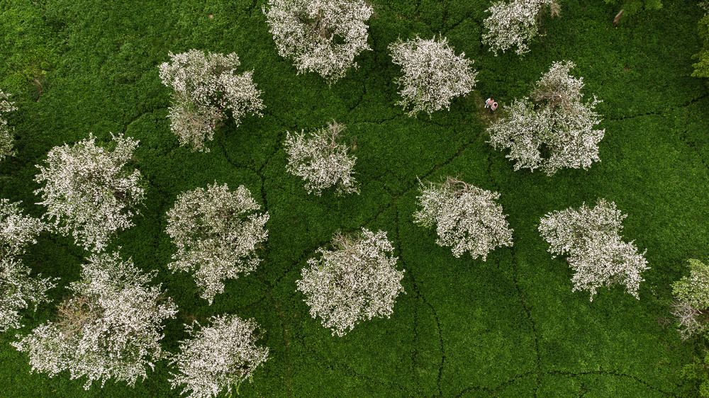 Photograph by Ирина Малина