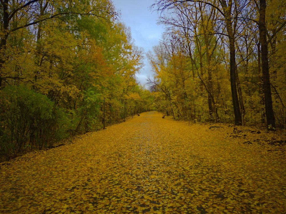 Photograph by Андрей Лебедев