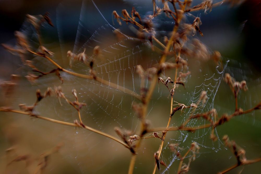 Photograph by Юрий Варюхин