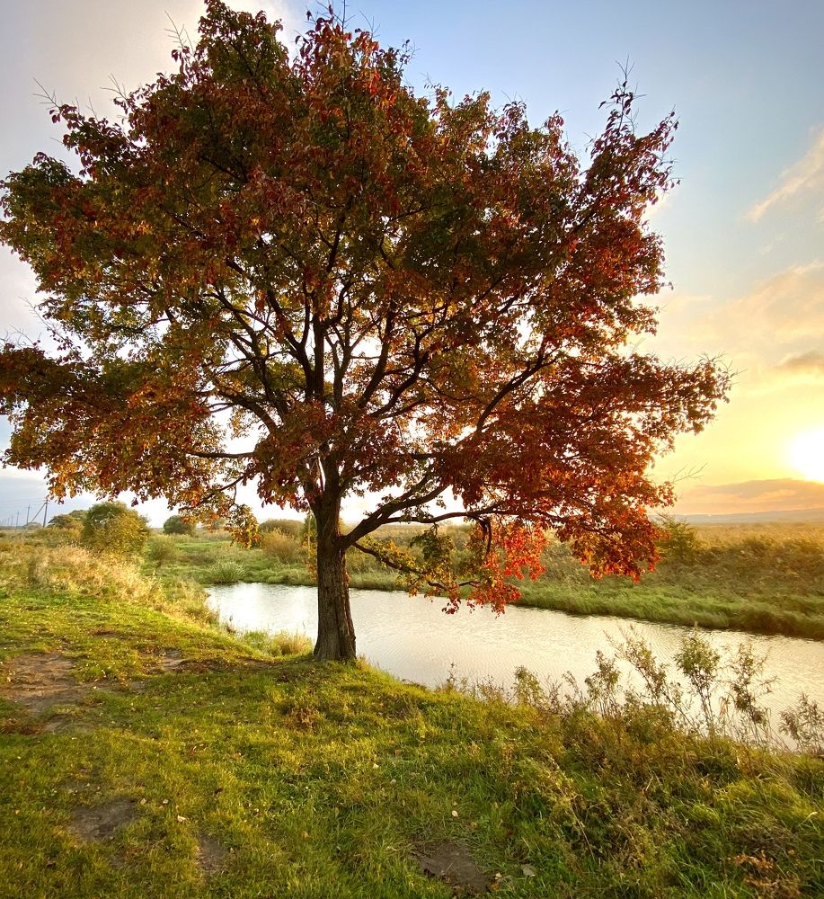 Photograph by Олег Волков