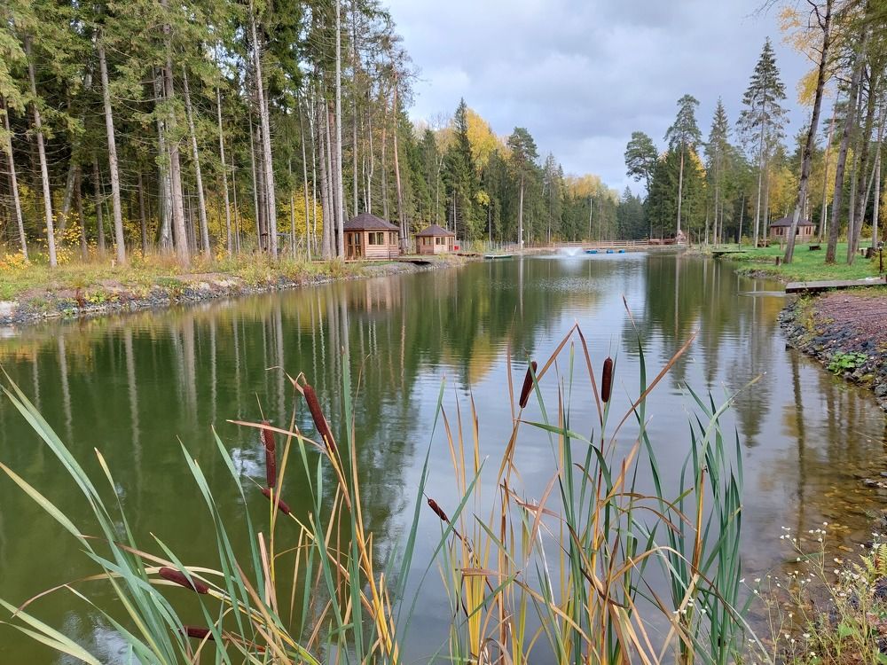 Photograph by Елена Тимченко