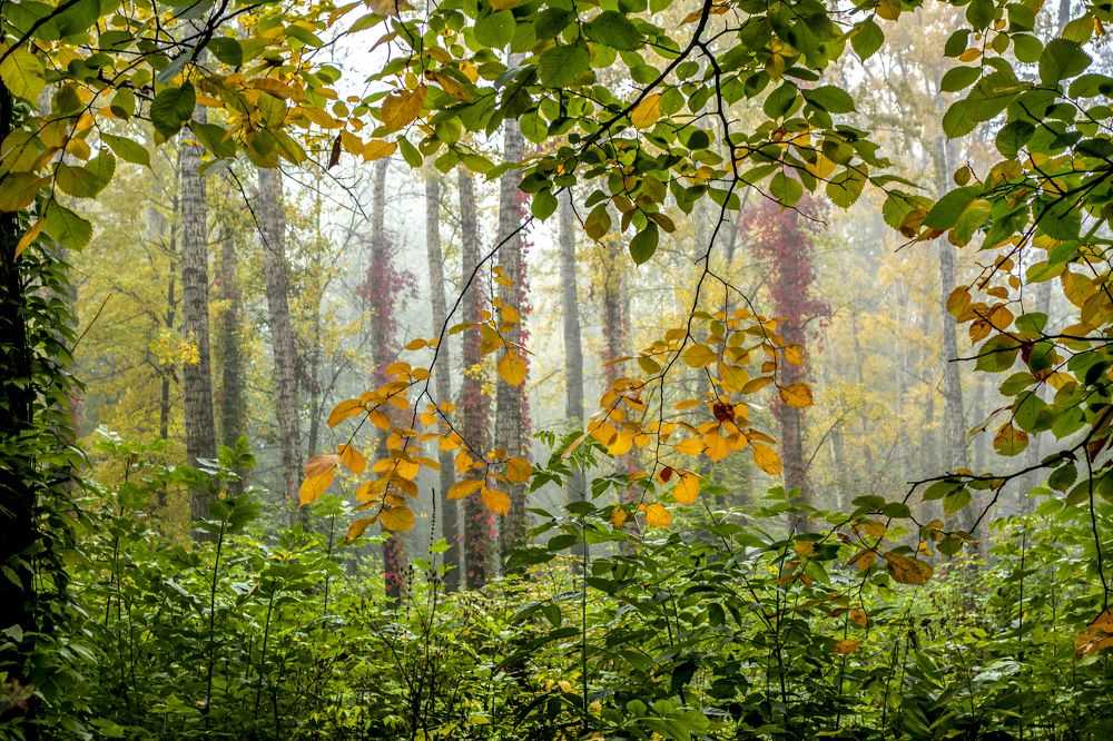 Photograph by АНДРЕЙ АБАКУМОВ