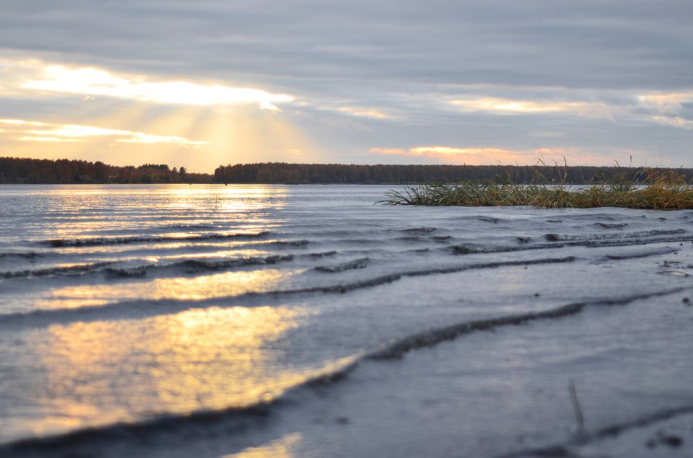 Photograph by Дарья Сергеева