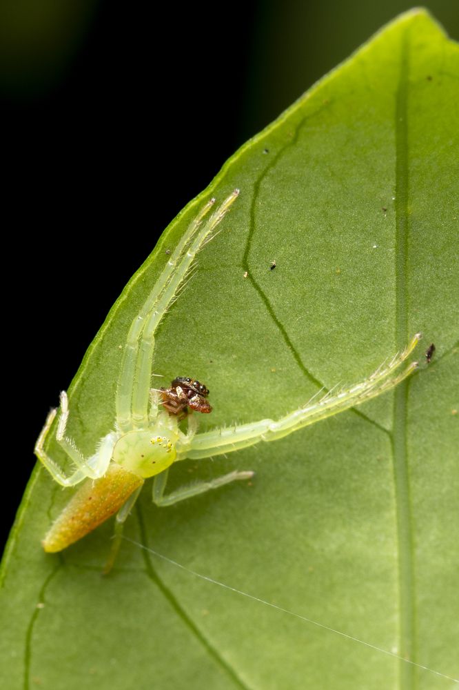 Photograph by Lee Justin Lik Tsz