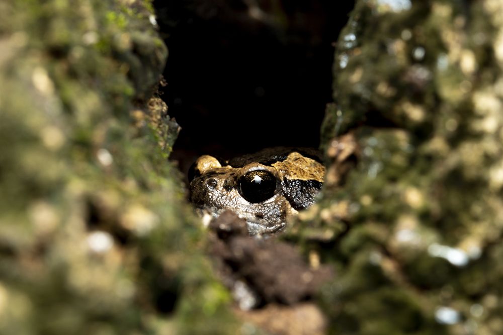 Photograph by Lee Justin Lik Tsz