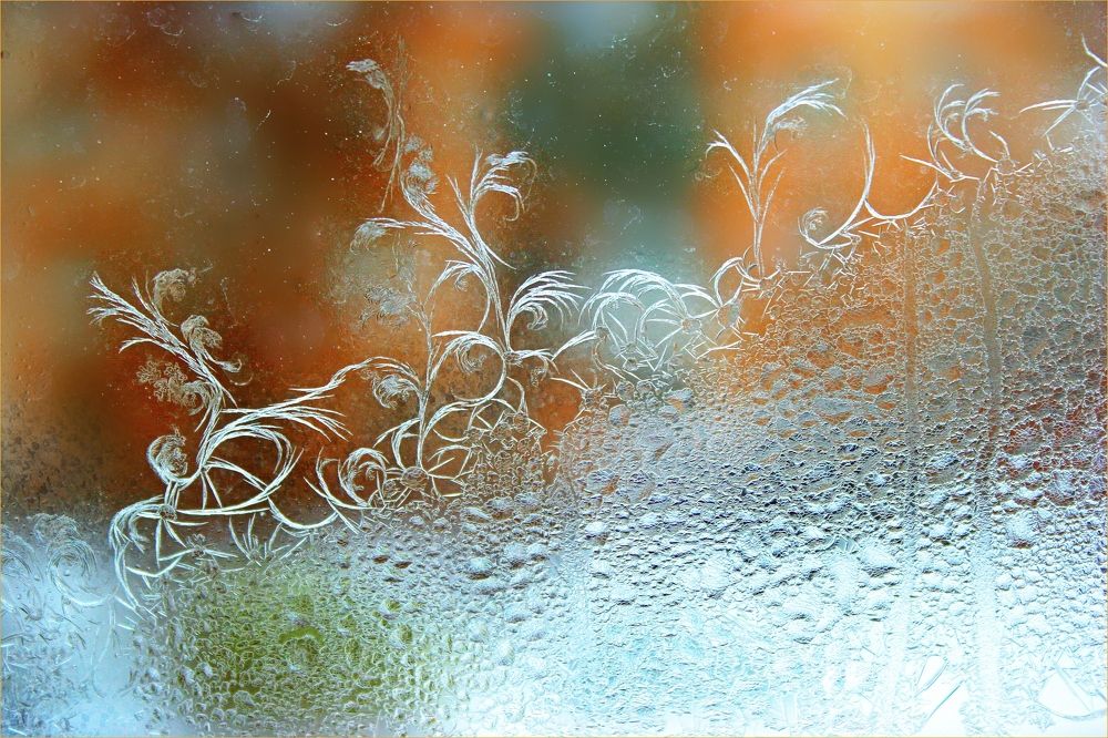 Photograph by Наталья