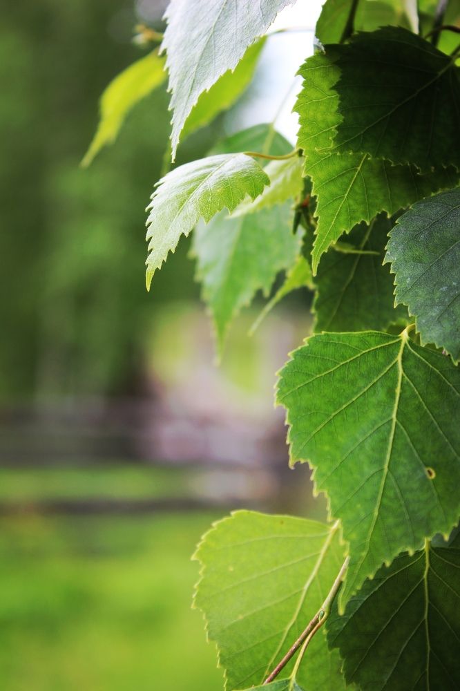 Photograph by Владимир Сушкин