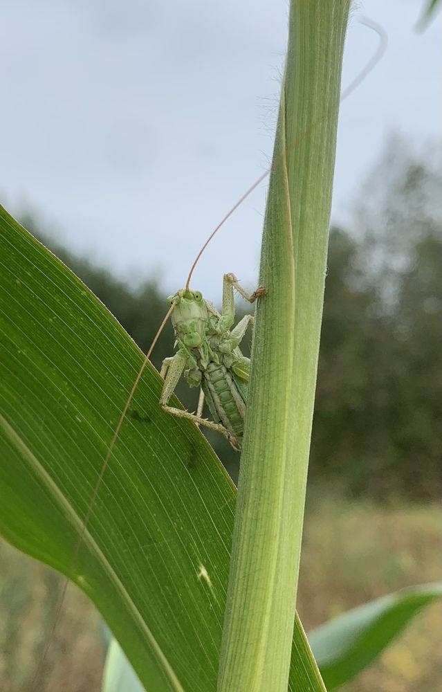 Photograph by Джамиля Ремизова