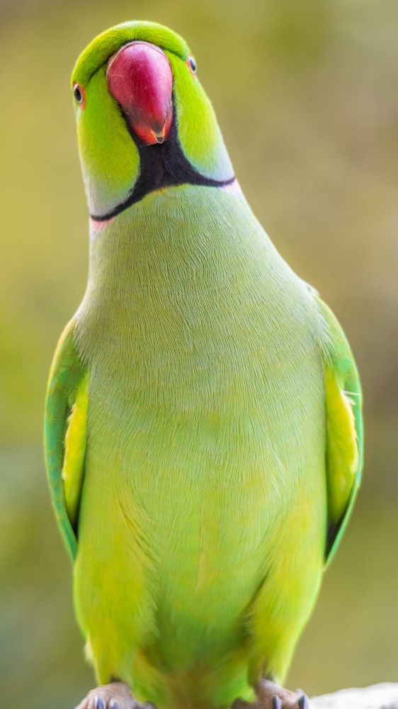 Photograph by Sameer Mudaye