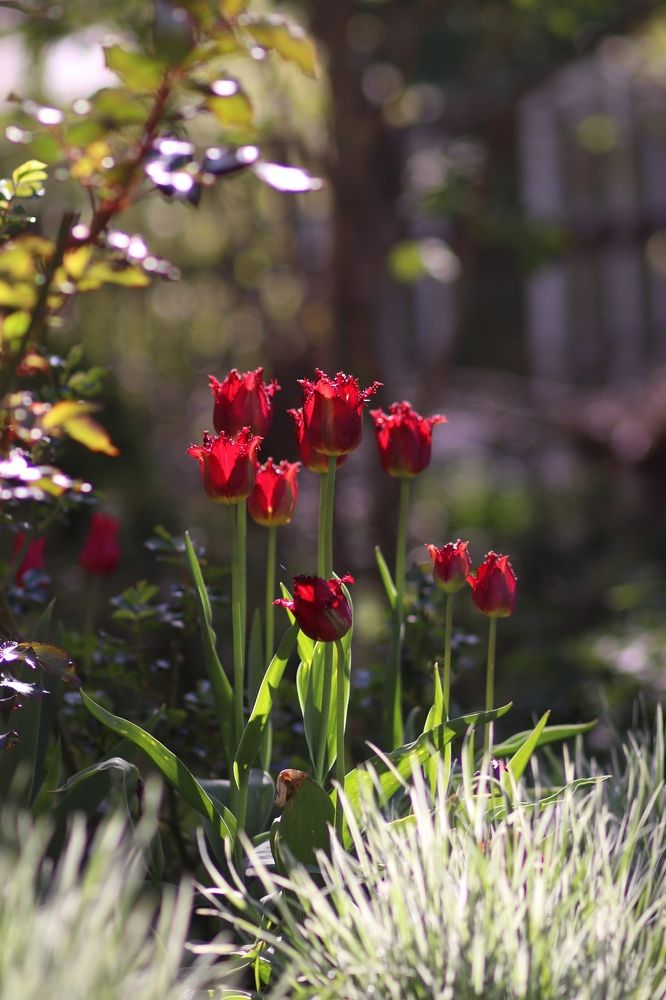 Photograph by Светлана Богомолова