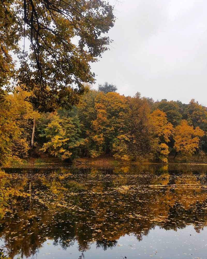 Photograph by Татьяна Антипова