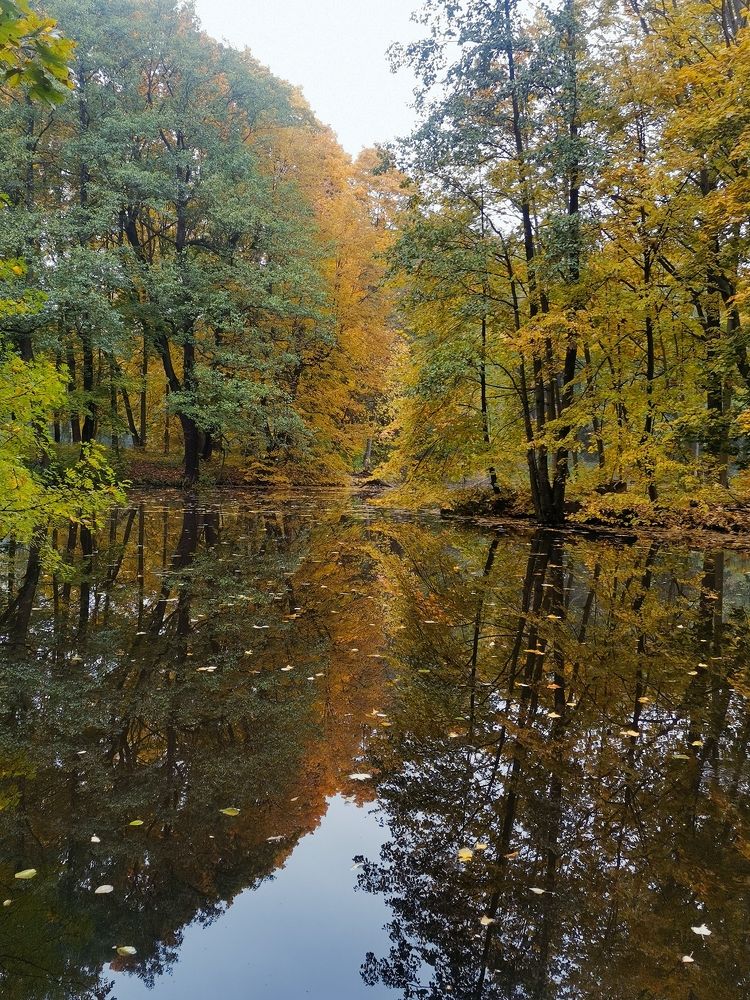 Photograph by Татьяна Антипова