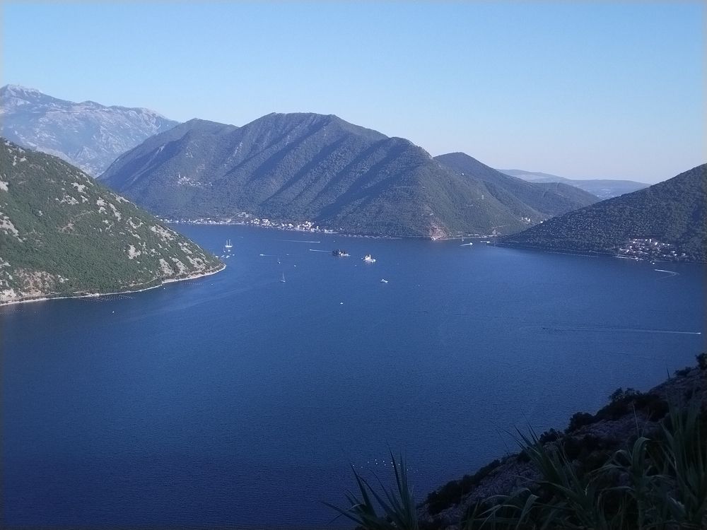 Фотография автора Danica Utjesinovic