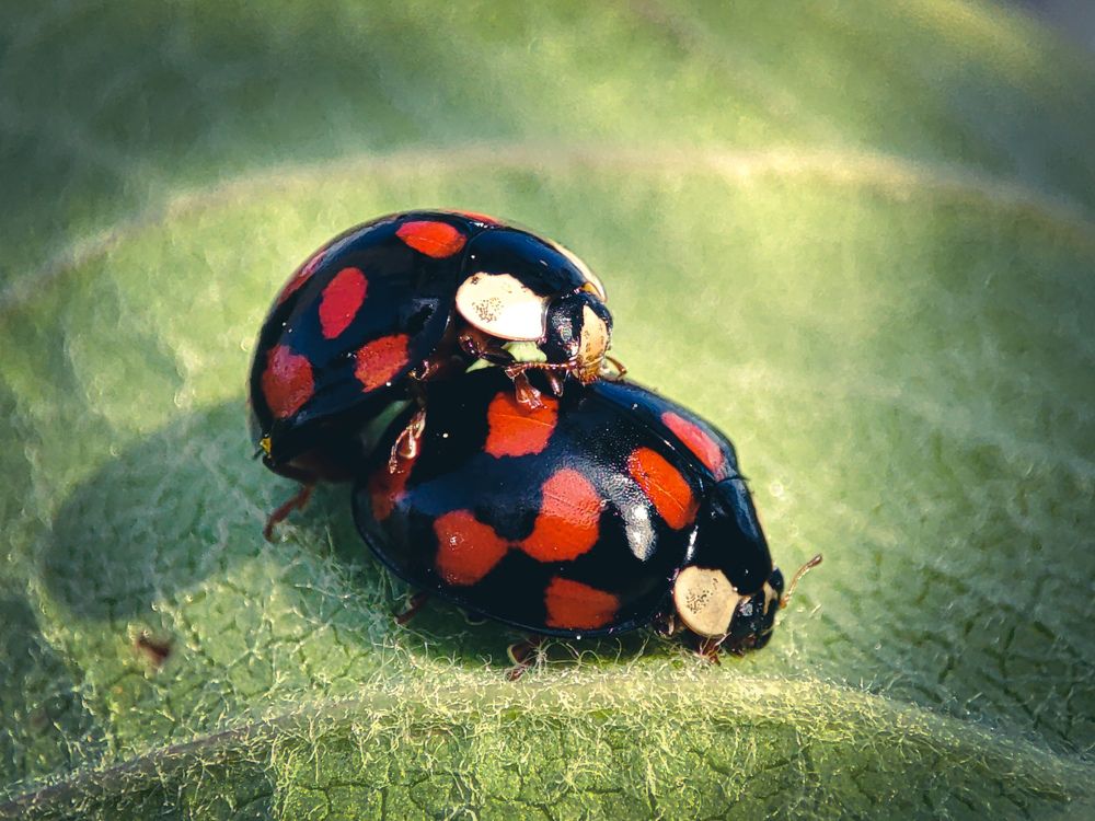Photograph by Александра Петрова