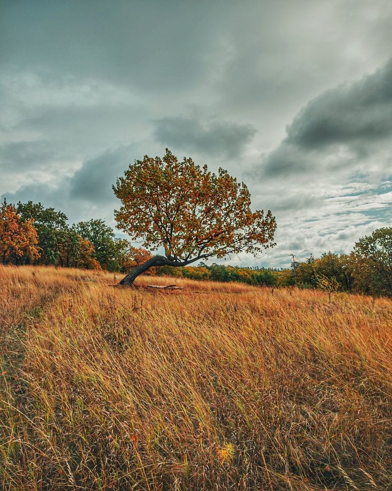 Photograph by Дмитрий Кашиков