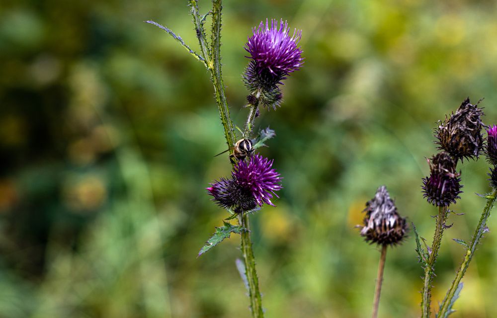 Photograph by Сергей Аникушин