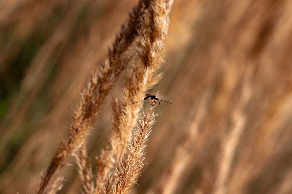 Photograph by Сергей Аникушин